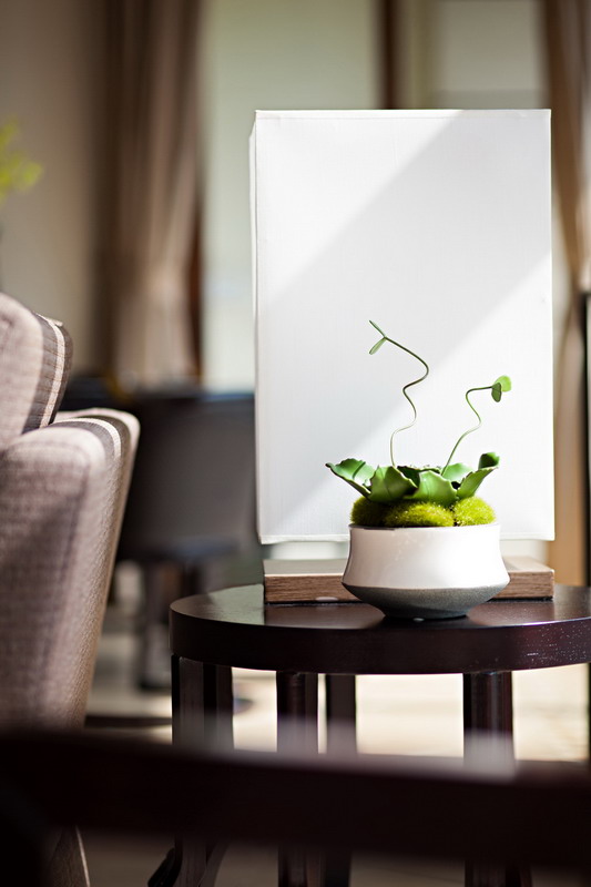 雅居乐 西双版纳州 嘎洒镇 西双林语 A2a-12