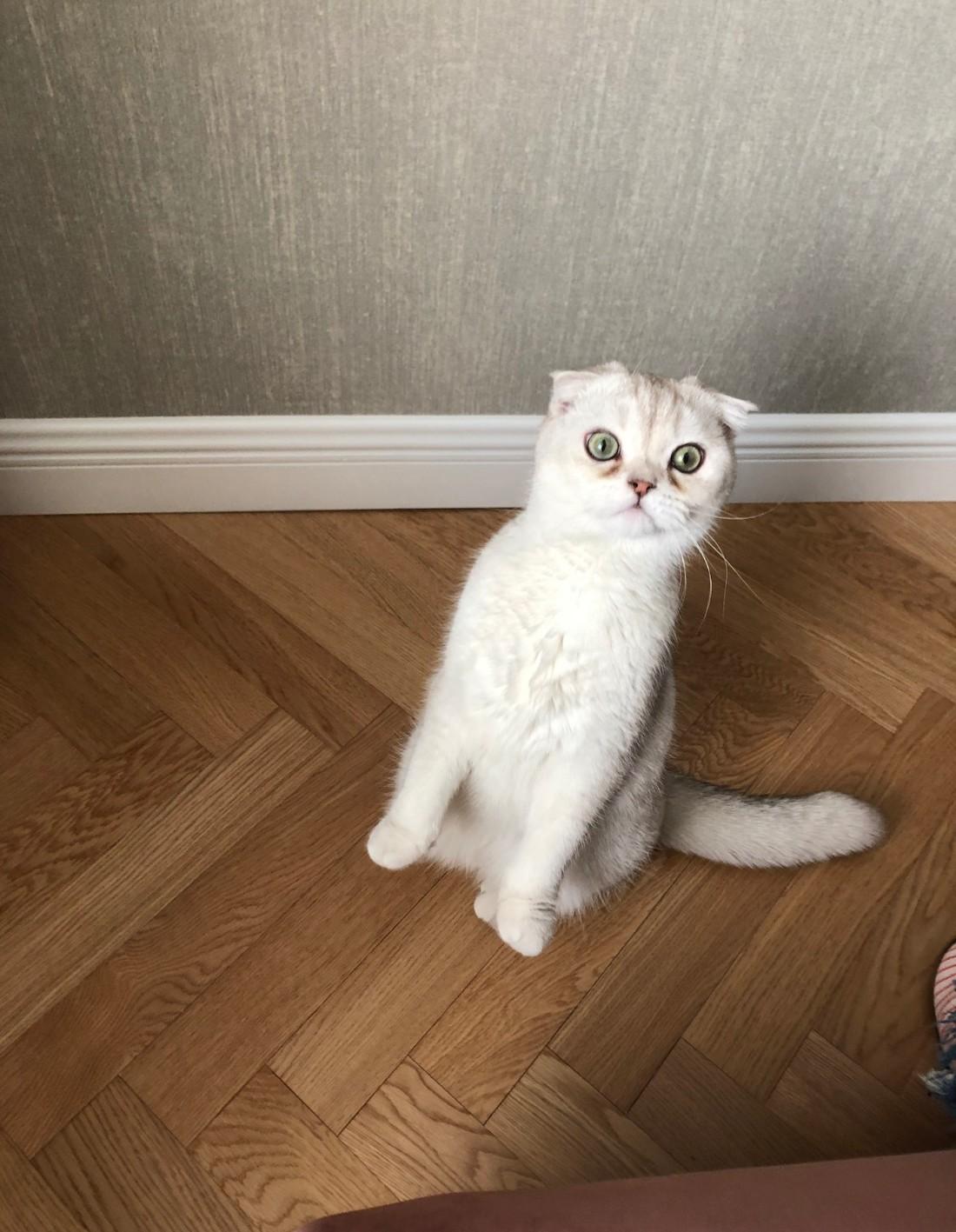 融合多种色彩的个性家居设计-57