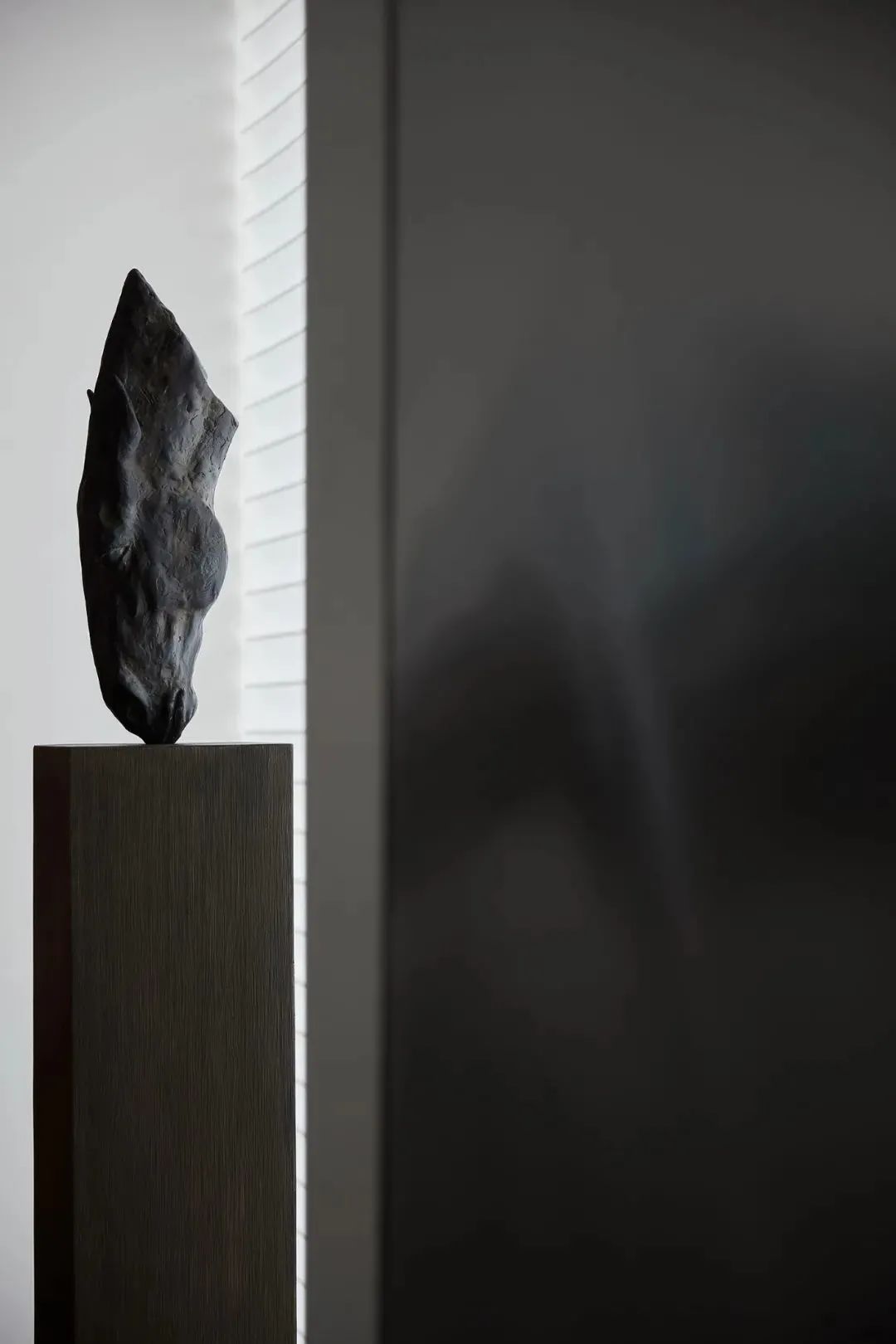 惠州联排 · 滨海诗意栖居,室内外界限消融-33