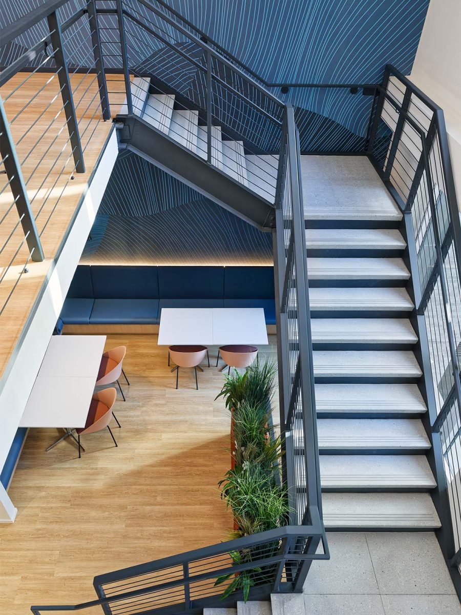 华人策划协会，纽约 -0