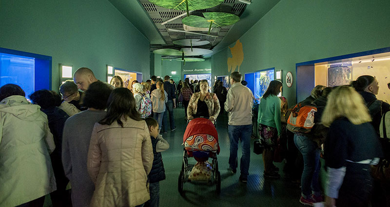 “Moskvarium”海洋馆丨俄罗斯莫斯科丨Aqua Logo Engineering-59