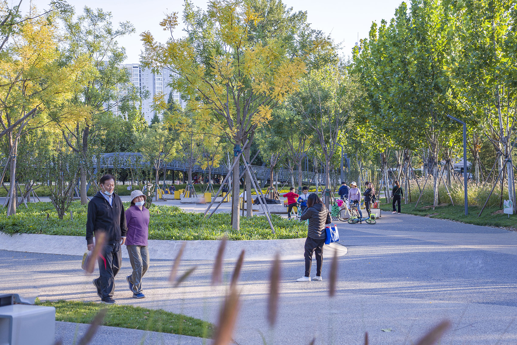 北京西长安街文化艺术公园-17