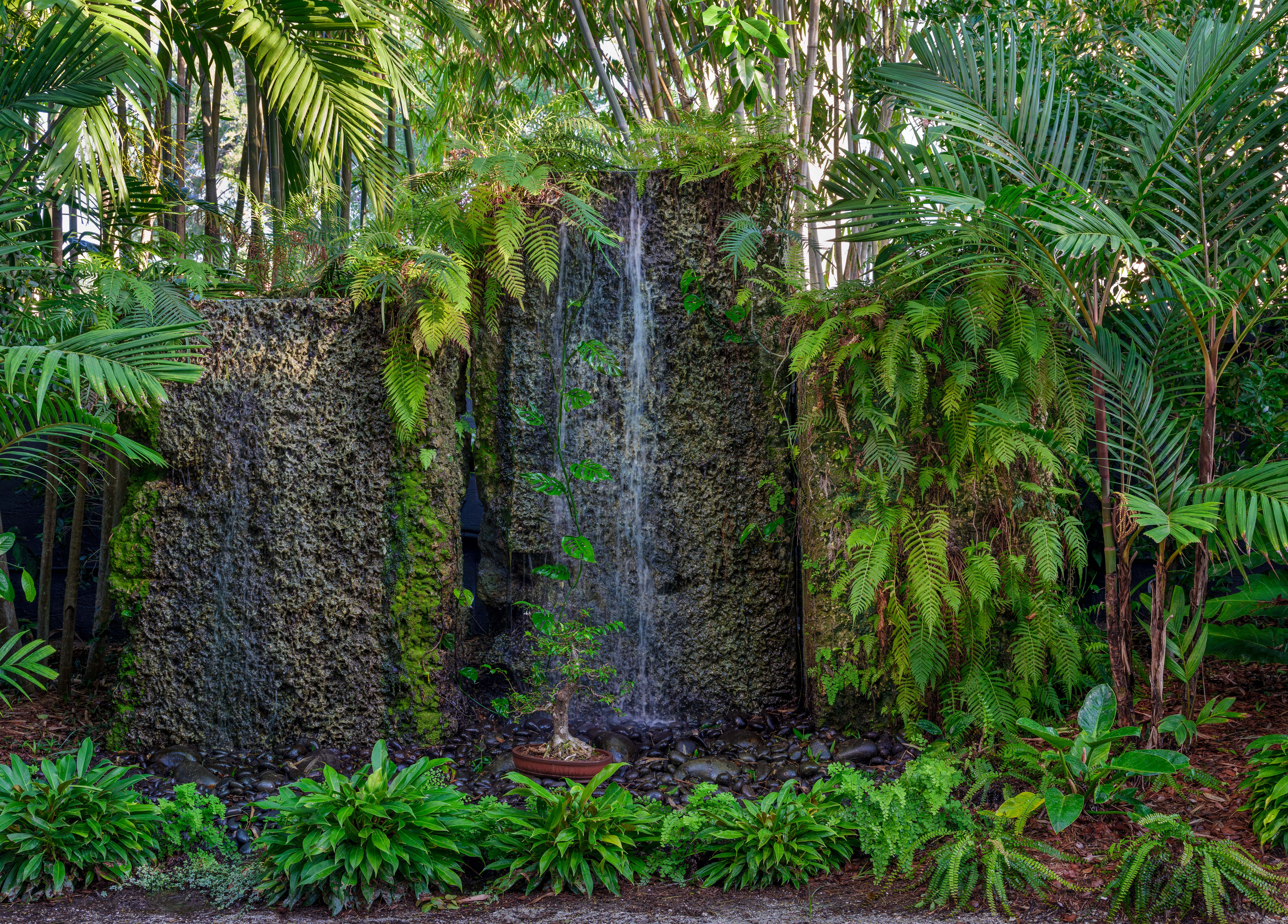 丨Raymond Jungles,Inc.-19