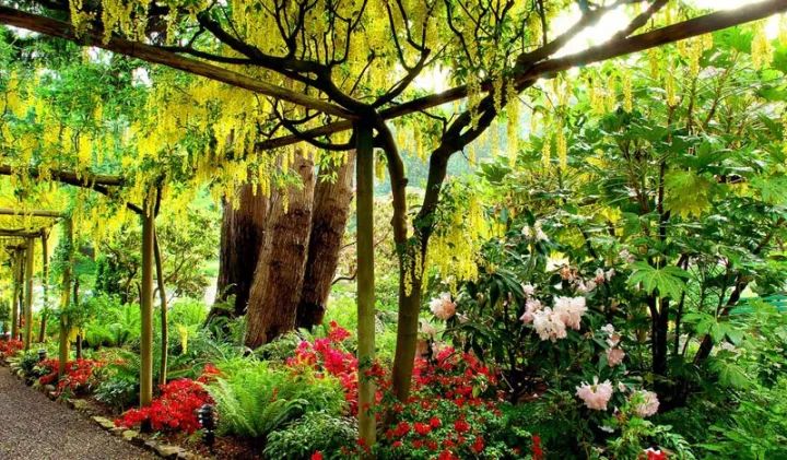 世界上最大的私家花园，迄今已有116年历史！-34