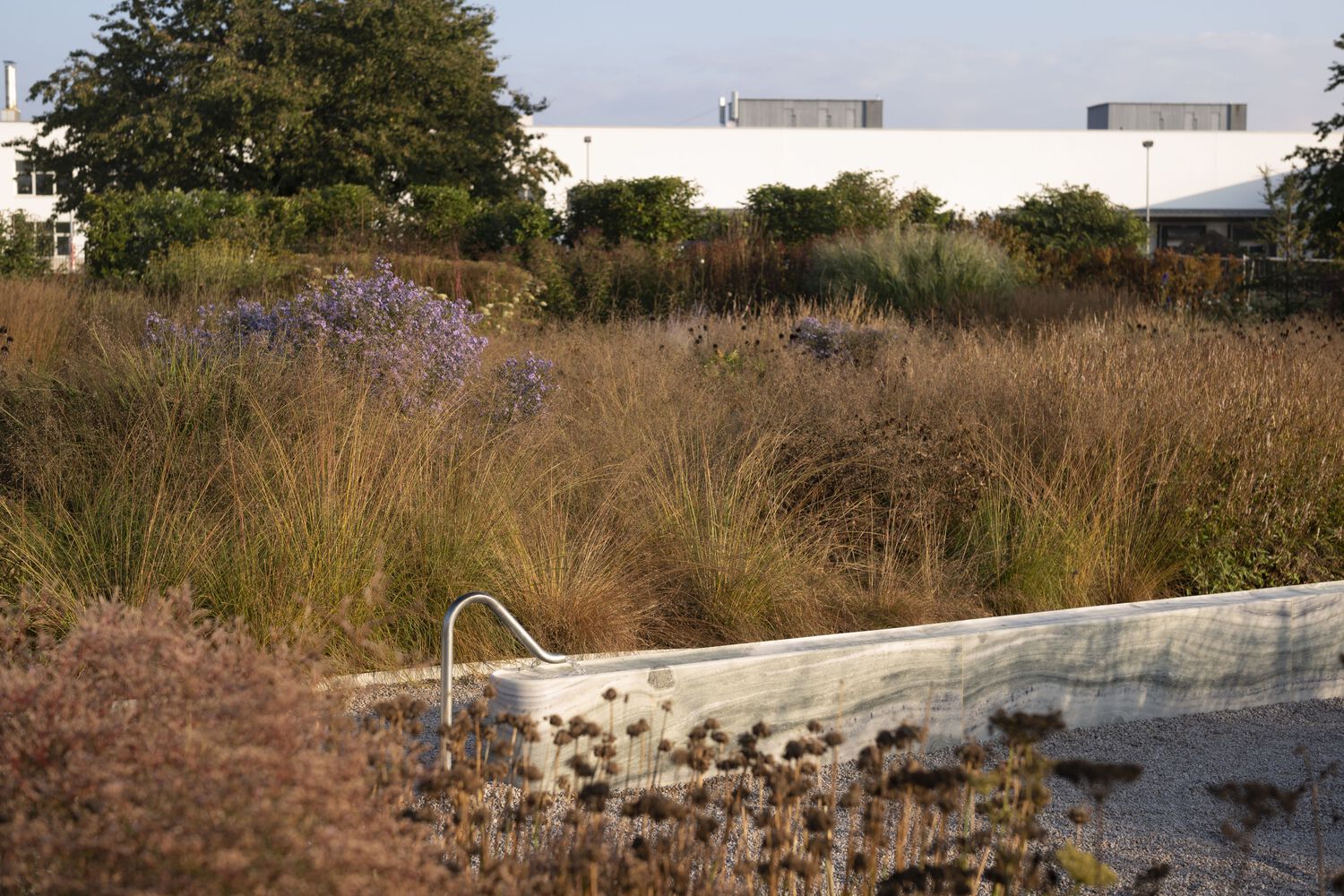 德国Vitra Oudolf花园丨Piet Oudolf-27