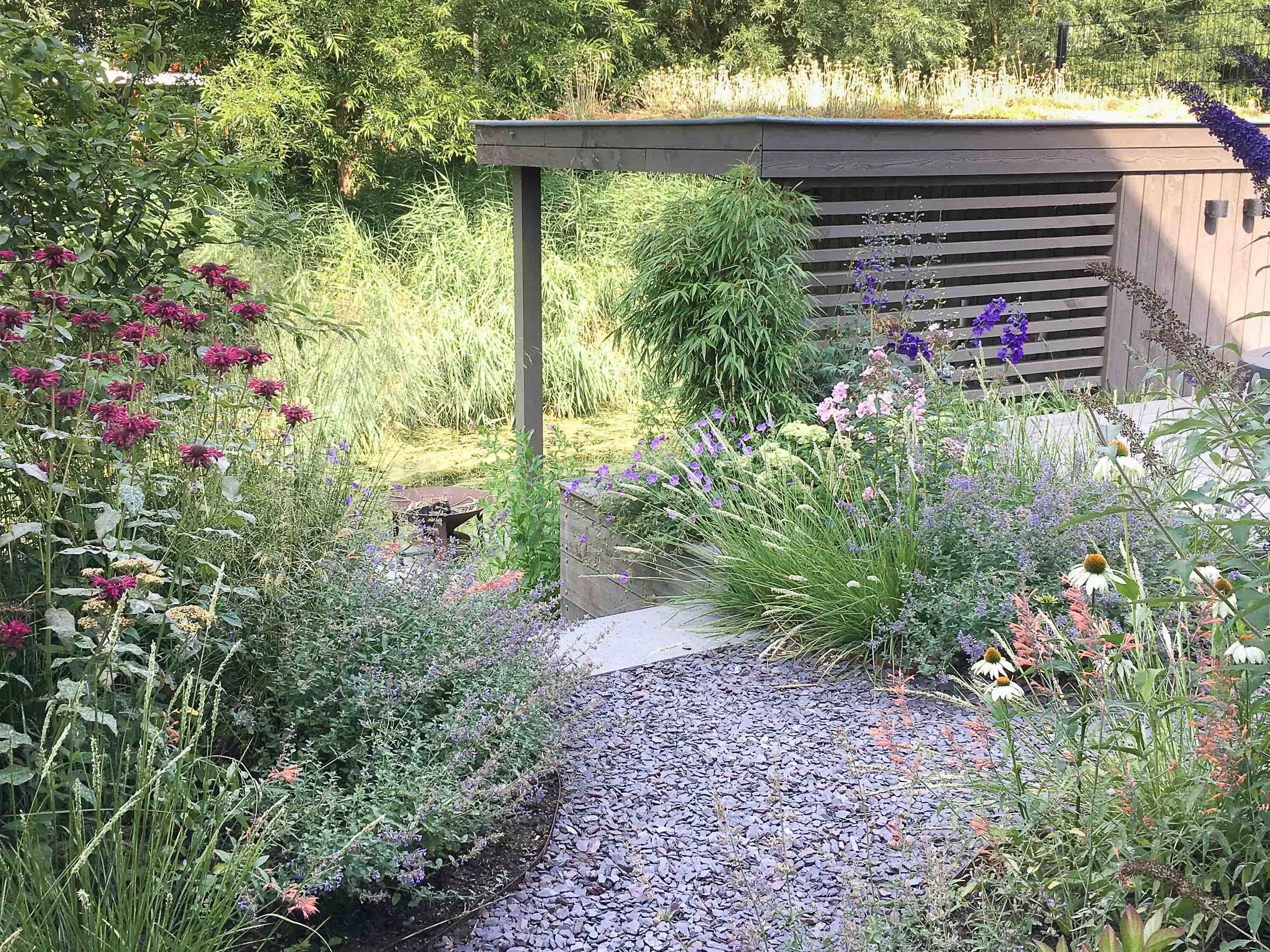 阿姆斯特丹野生花园丨荷兰阿姆斯特丹-0