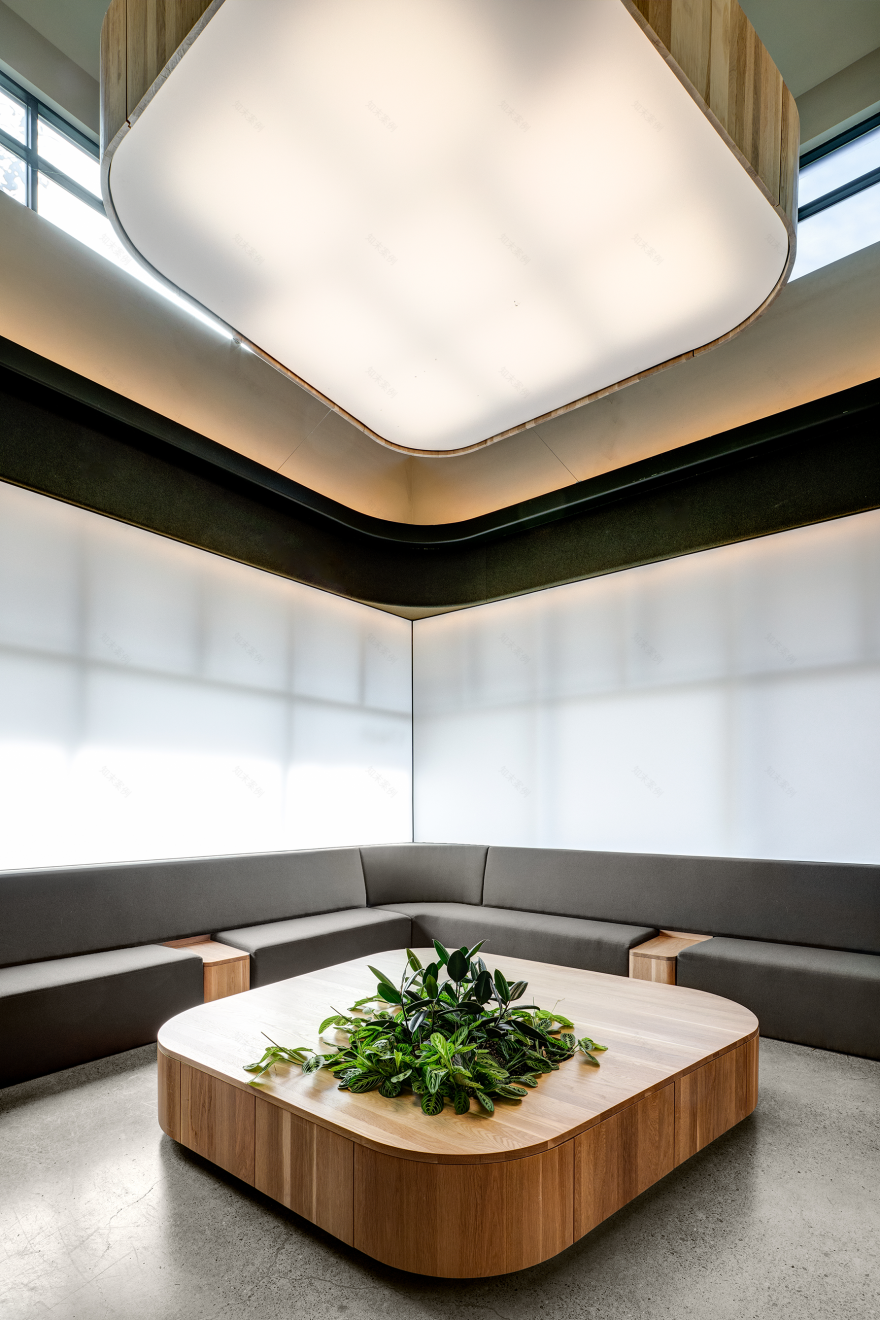 西北功能性神经学诊所丨美国俄勒冈丨Fieldwork Design and Architecture-10