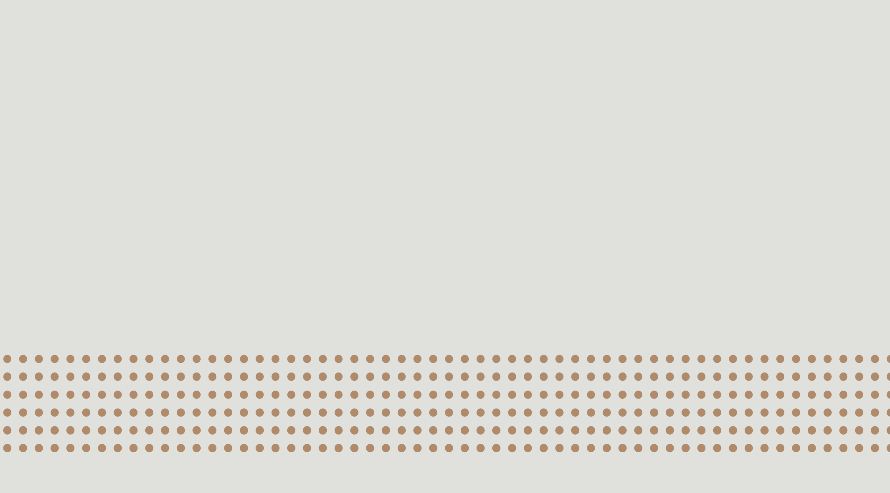 Student Architecture Portfolio 2020-1