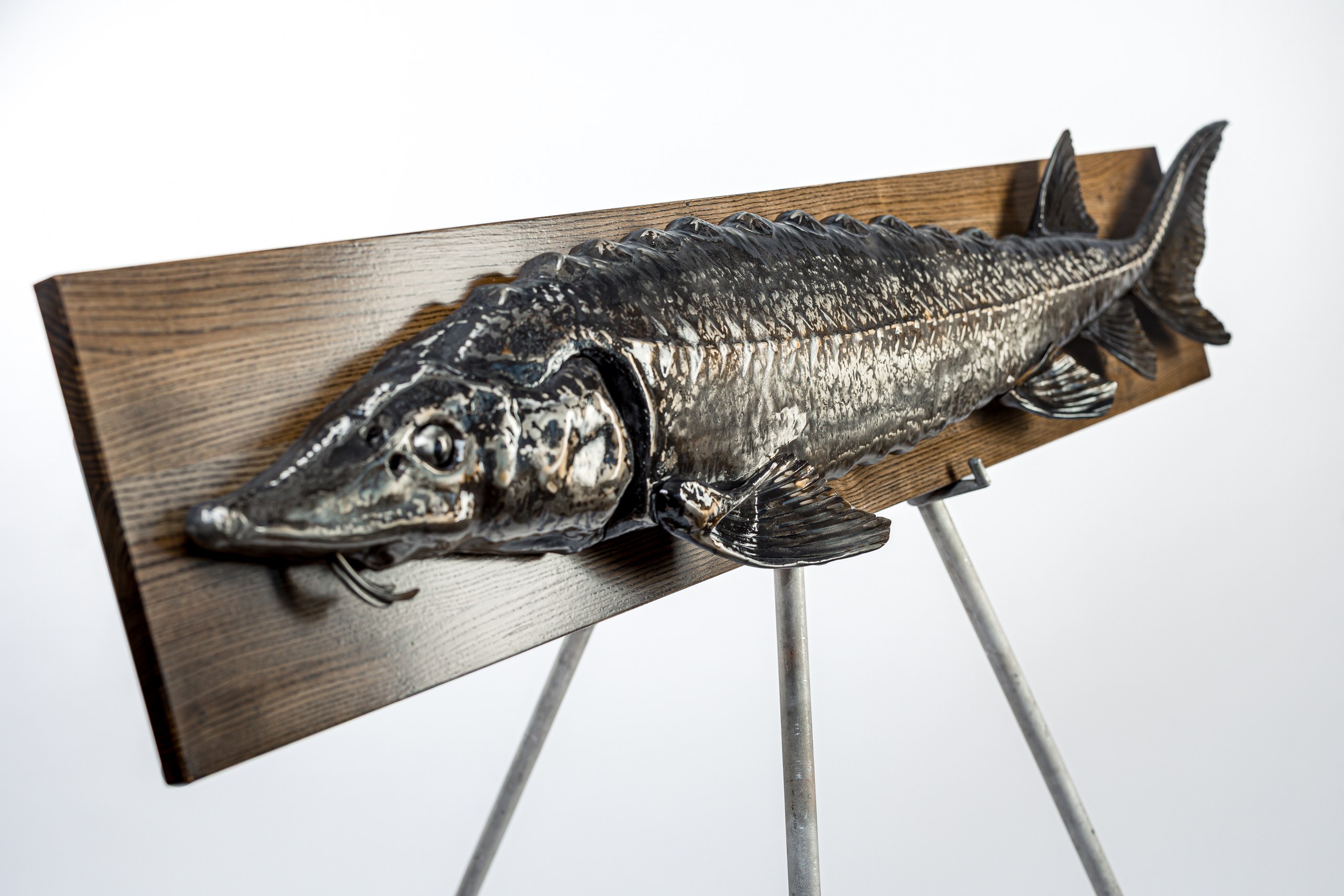 Стерлядь настенная из нержавеющей стали-10