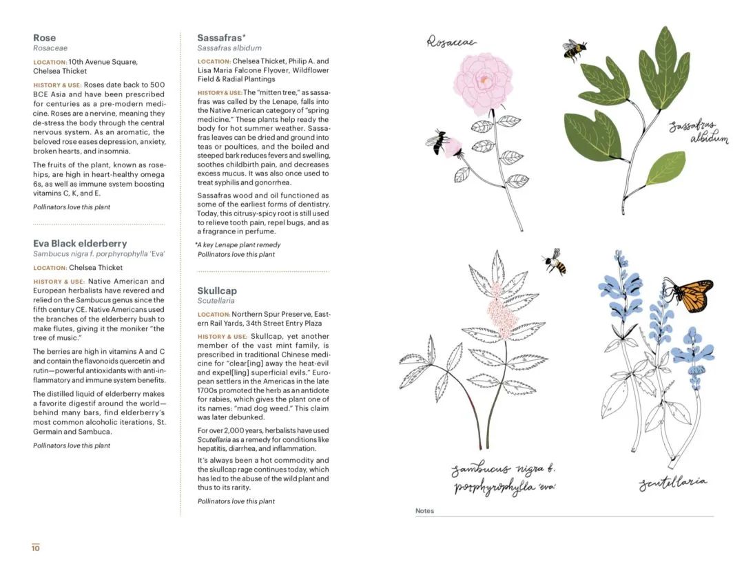 高线公园 (High Line Park)-208