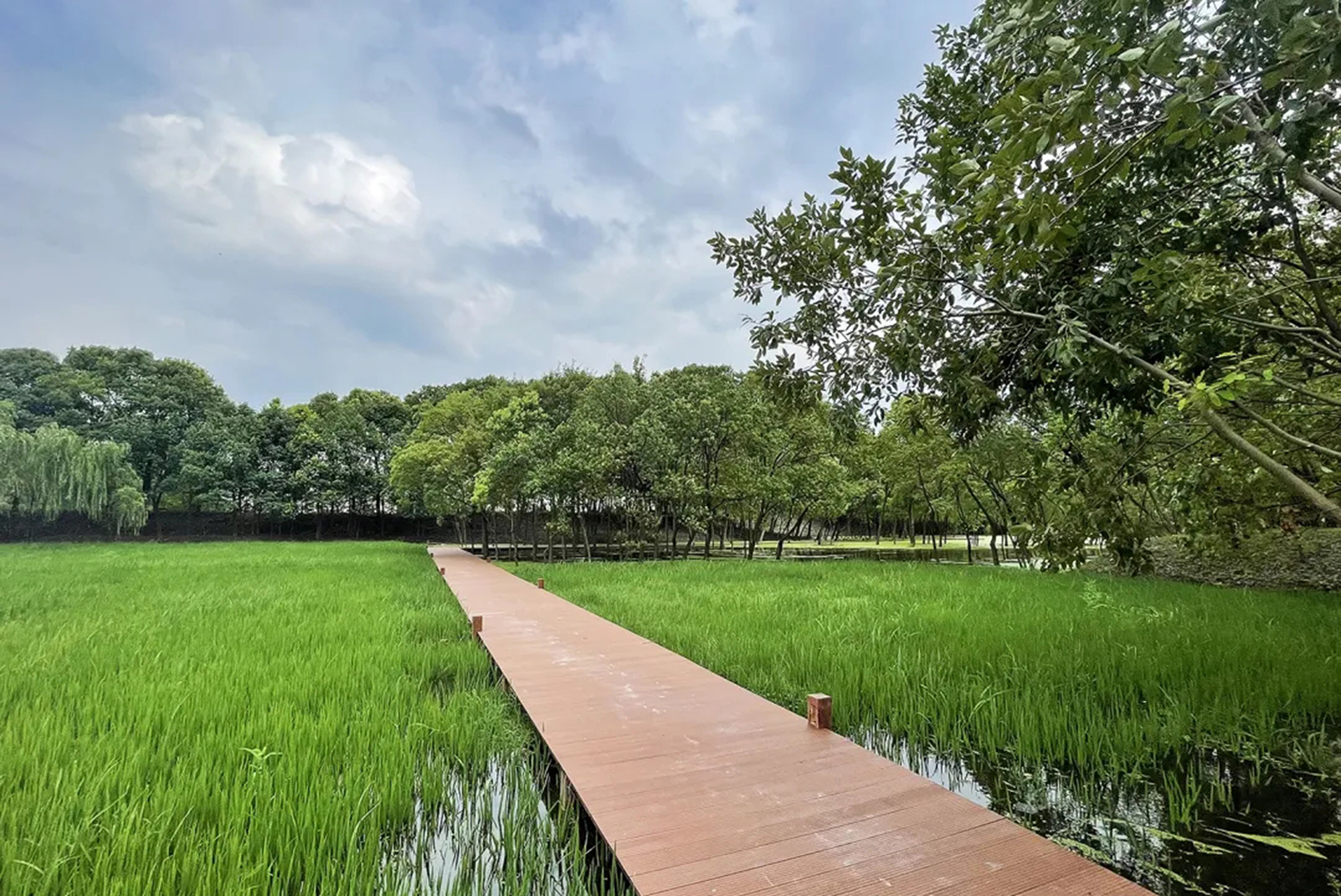 苏州桃源森林国际度假区魔法乐园丨中国苏州-13