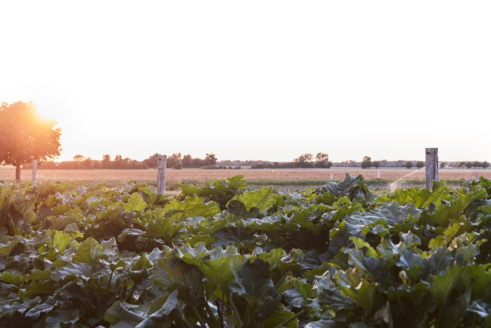 Vipp 农舍酒店丨丹麦丨Julie Cloos Mølsgaard-53