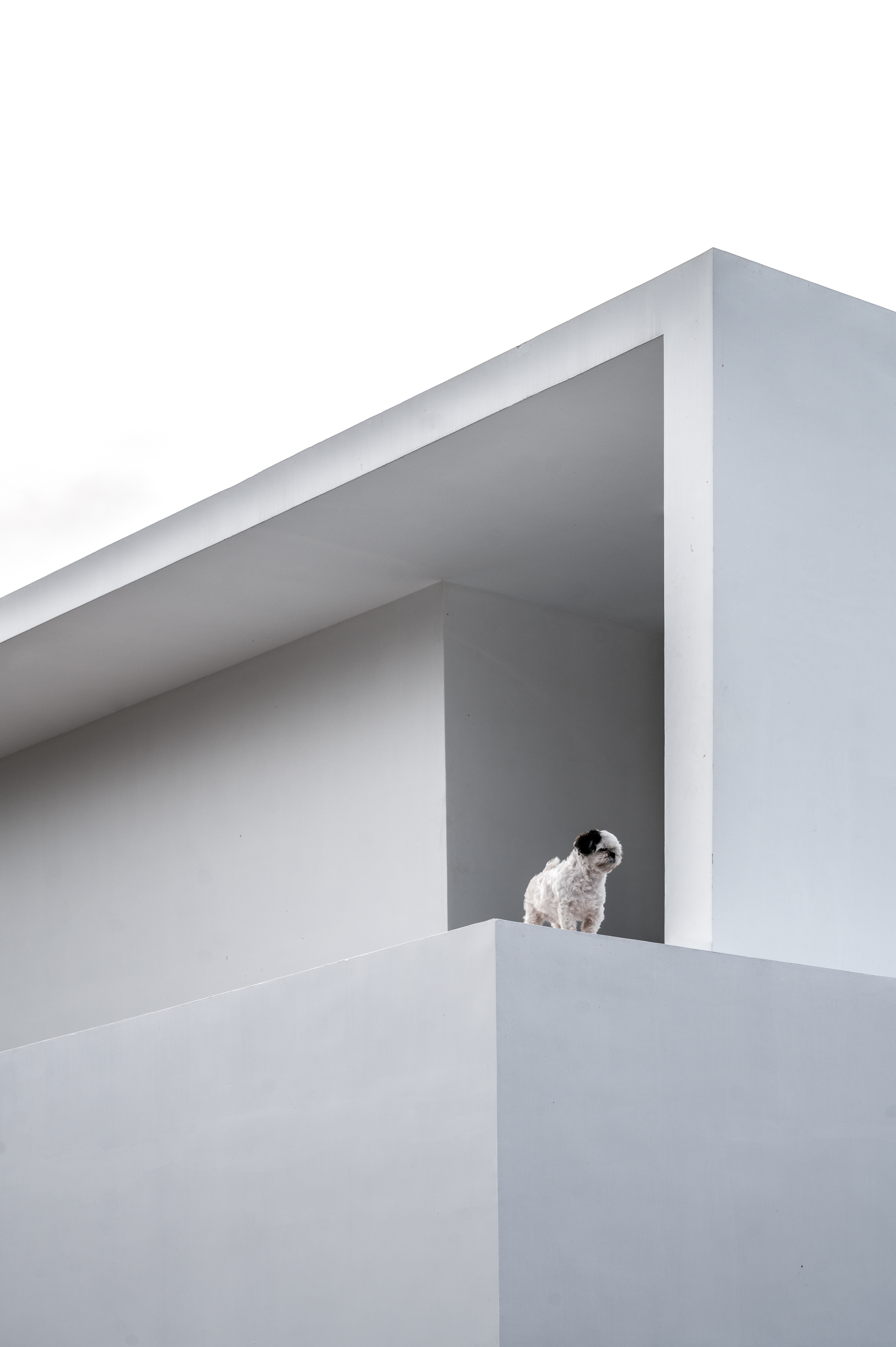 土木工程师之家丨LID Architects-49