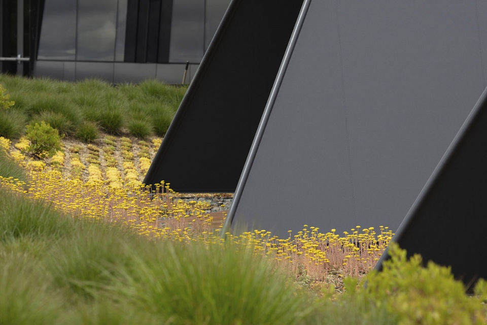 耐克世界总部 Serena Williams 大楼，俄勒冈 / Skylab Architecture-37