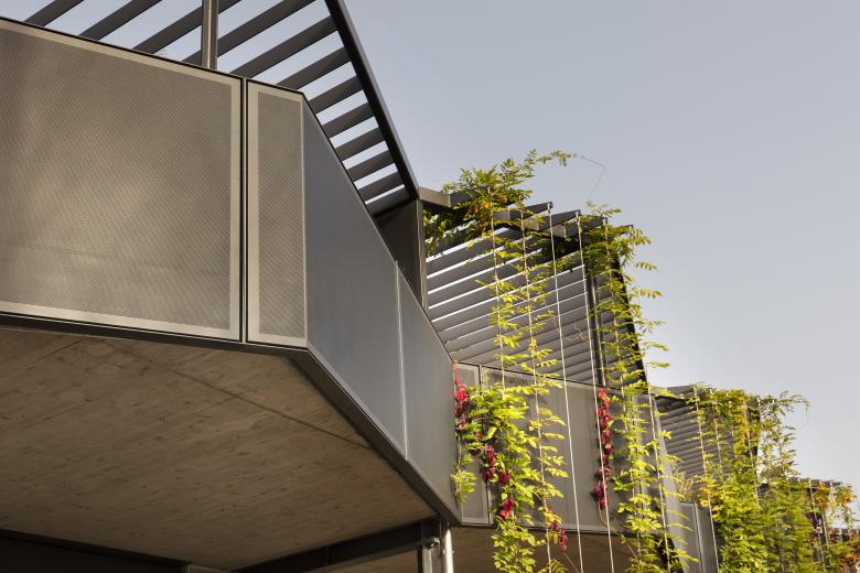 TK Architekten丨Erneuerung Wohn- und Geschäftshaus «Zum Bombach»丨瑞士-2