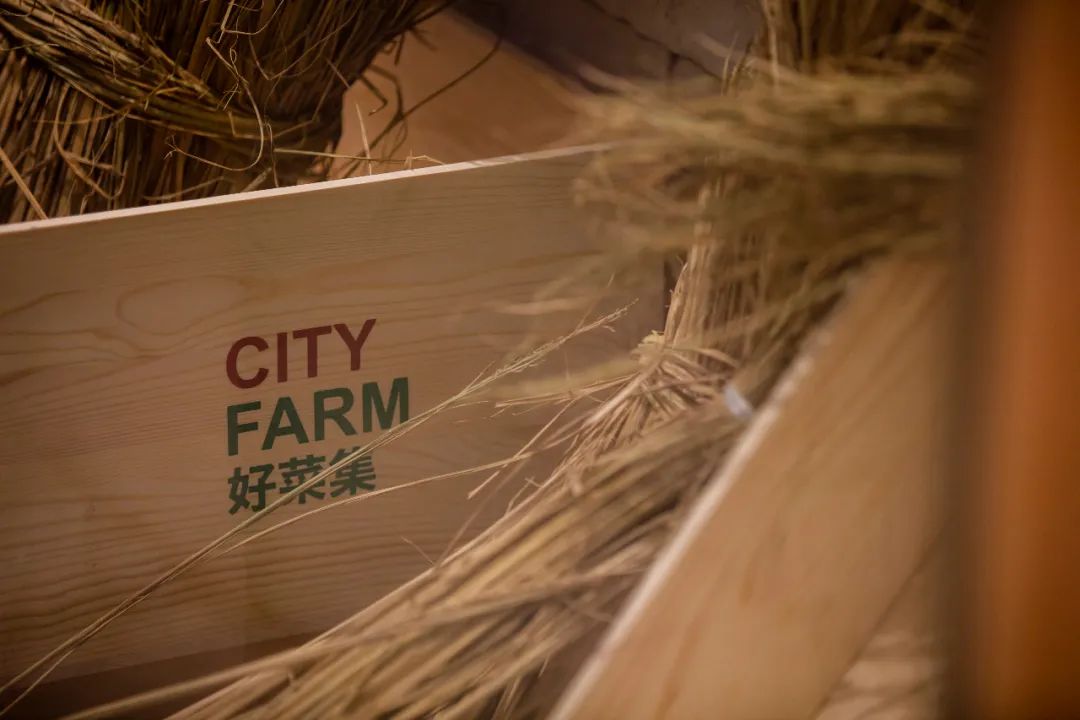 上海 Cityfarm 好菜集 | 绿色生态与都市生活的完美融合-22