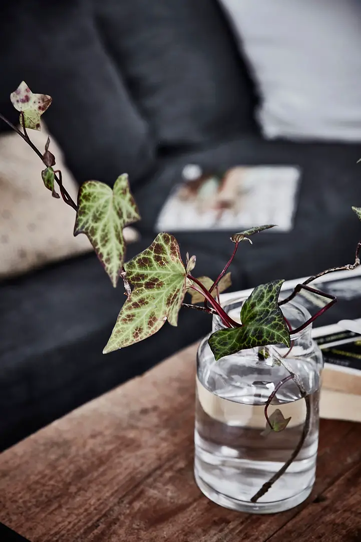 34 平米瑞典公寓，长条形空间妙手回春-16