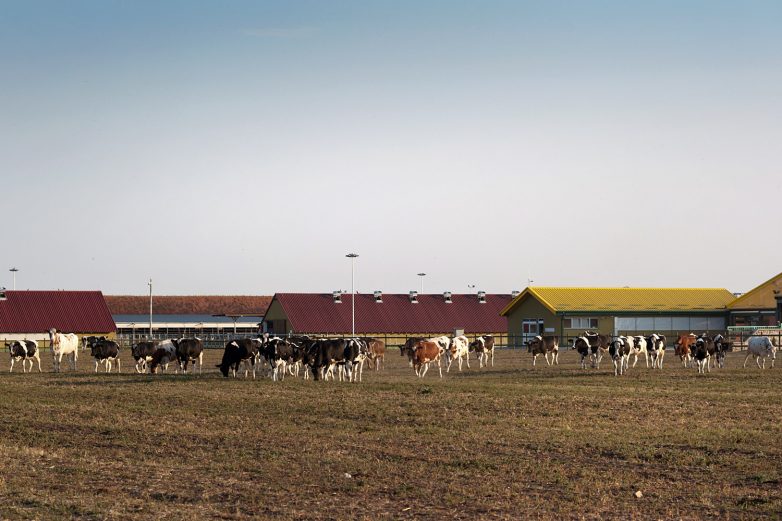 Global Seed农场项目丨Tim Inženjering（诺维萨德工程公司）-9