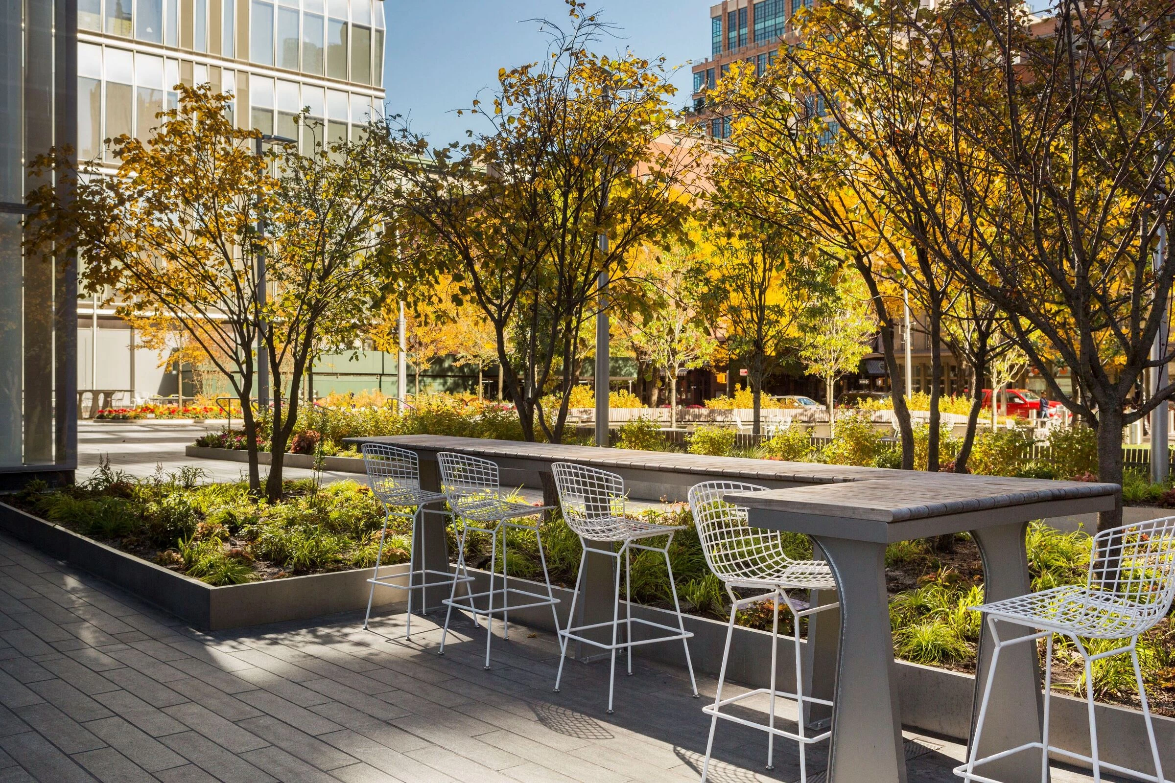 388 格林威治广场丨美国纽约-3