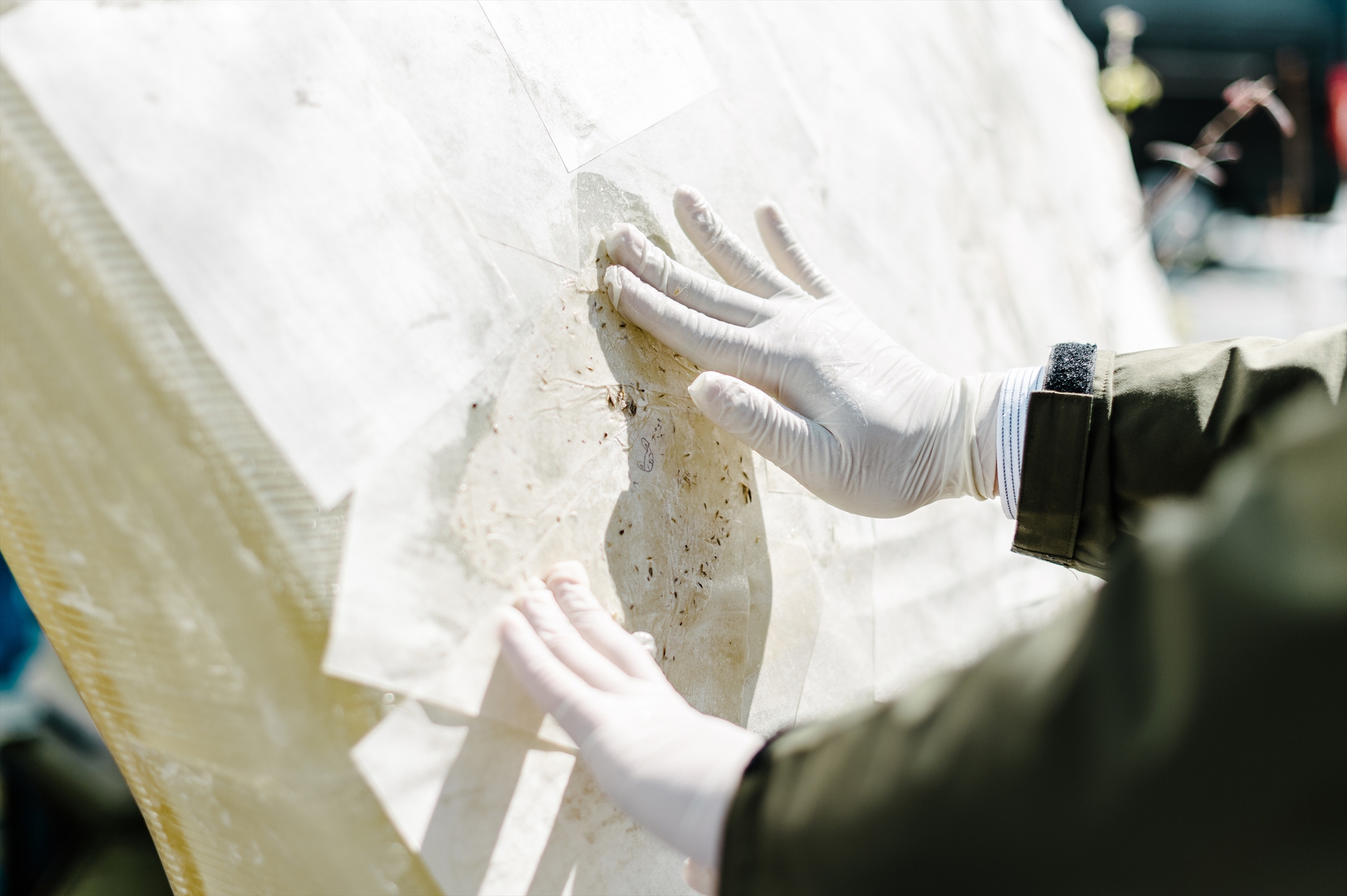 Osaka Expo 2025 Foresting Architecture Pavilion  / Takenaka Corporation-19