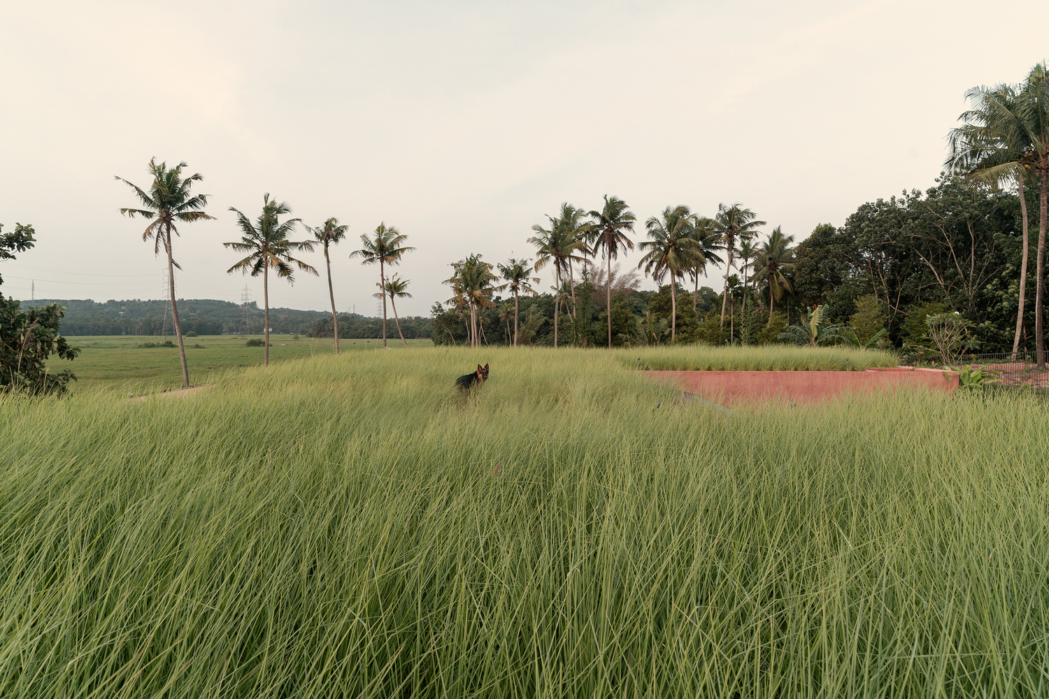 印度 Alarine 地球家园丨Zarine Jamshedji 建筑师事务所-15