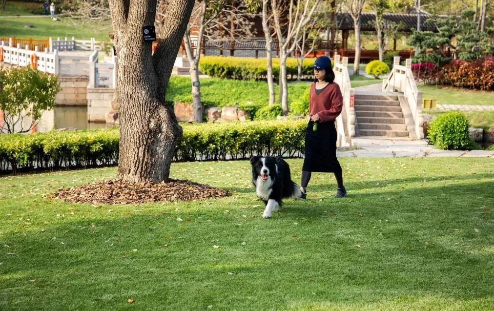 一尺花园｜浦东牡丹园里的老宅咖啡馆-20