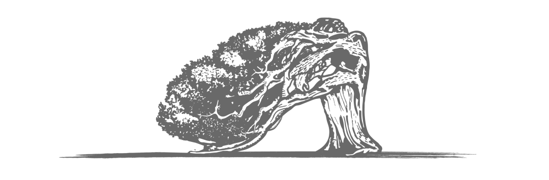 18 位建筑大师的伊维萨岛私人别墅设计,自然融入奢华-8