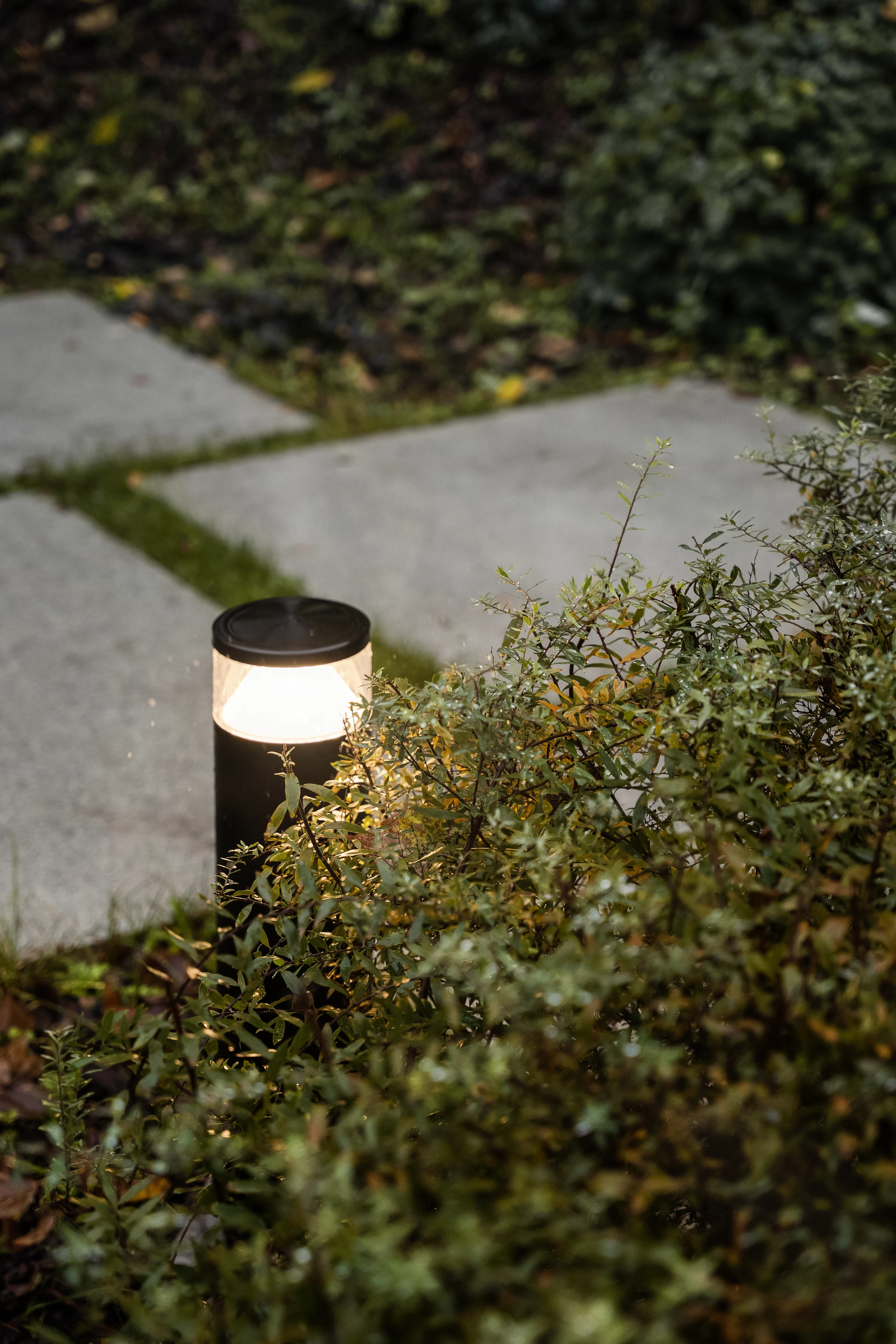 梦幻之家丨俄罗斯莫斯科丨Tsimaylo Lyashenko & Partners-9