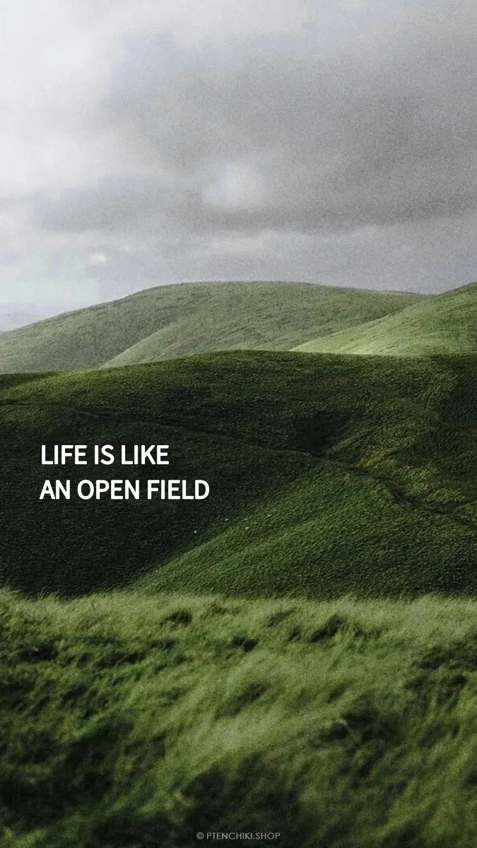 MDG首发 | 春光映画-19