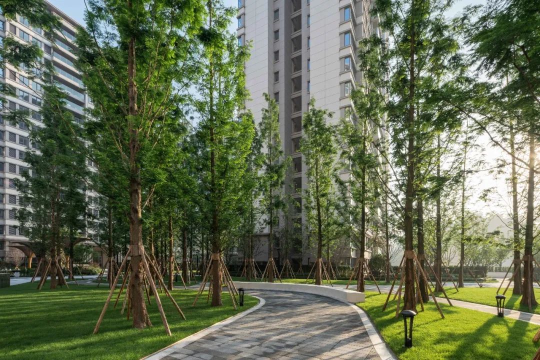 万科 17 英里 | 星空下的乐园生活-115