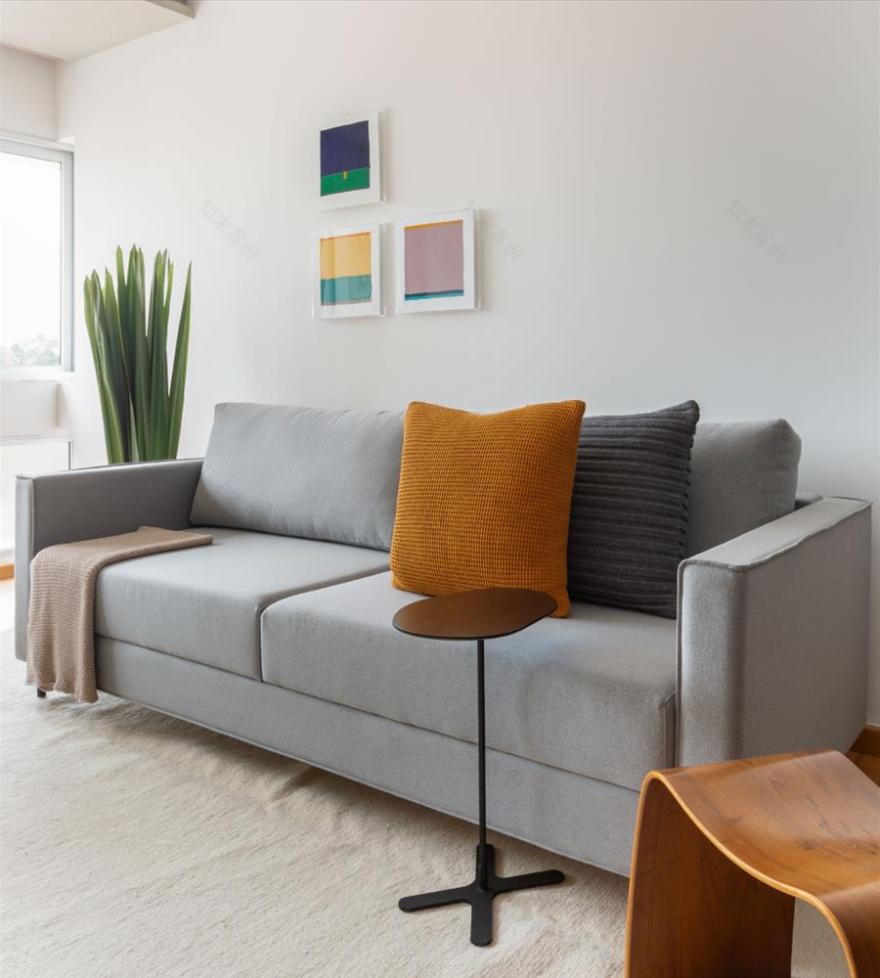 简约艺术风巴西公寓设计-3