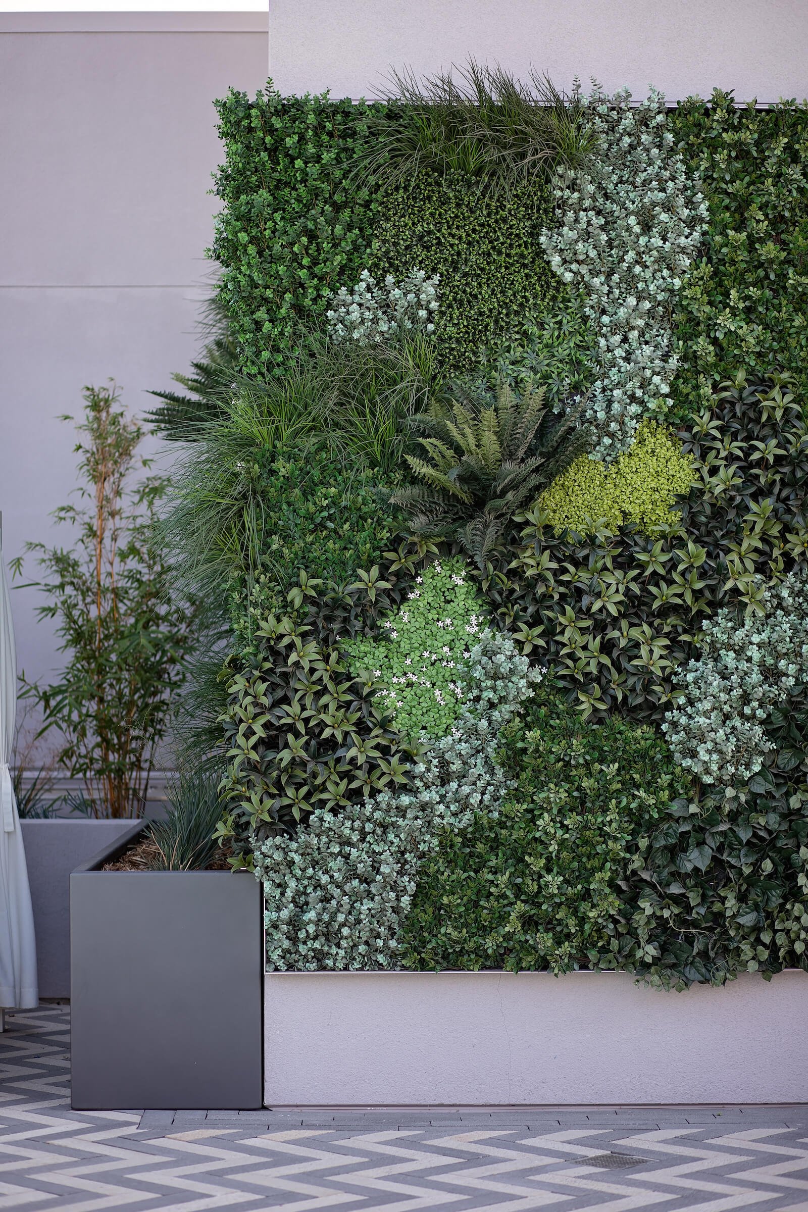 丨美国加利福尼亚-47