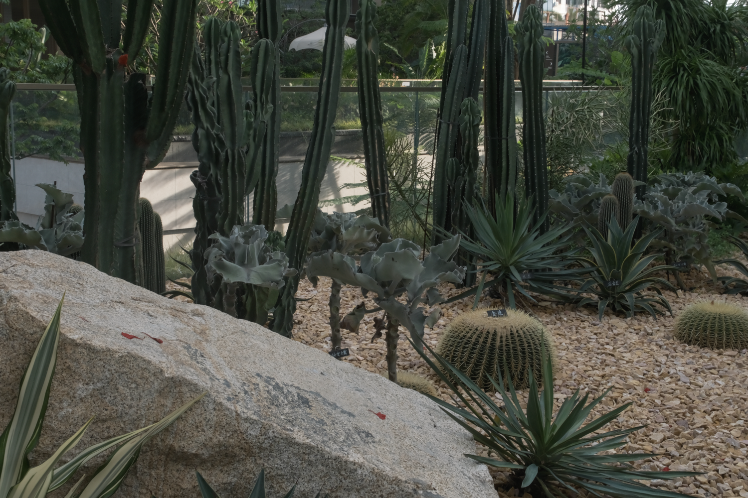 绿城·万宁海语春风丨中国万宁丨杭州九沐景观设计有限公司-85