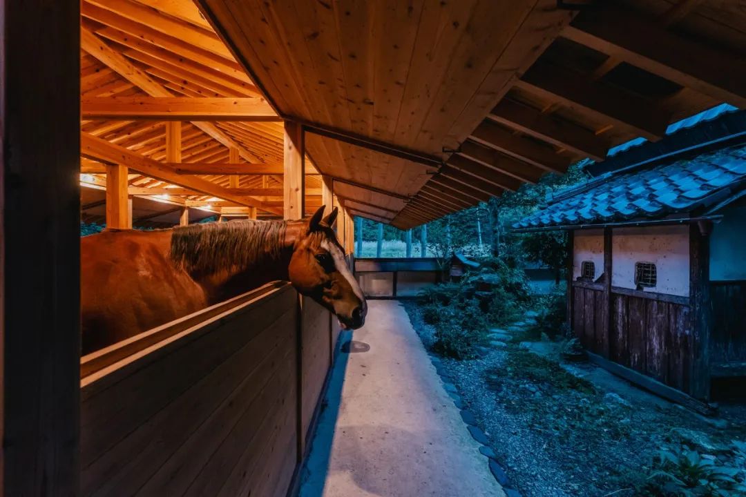 马术圣拉蒙丨墨西哥丨Módica Ledezma-102