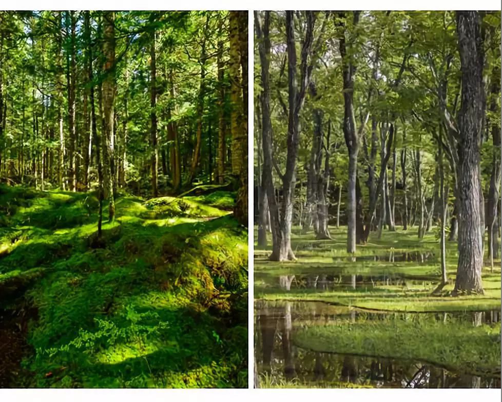  魏玛景观丨西安融创曲江印景观设计 丨中国西安-58