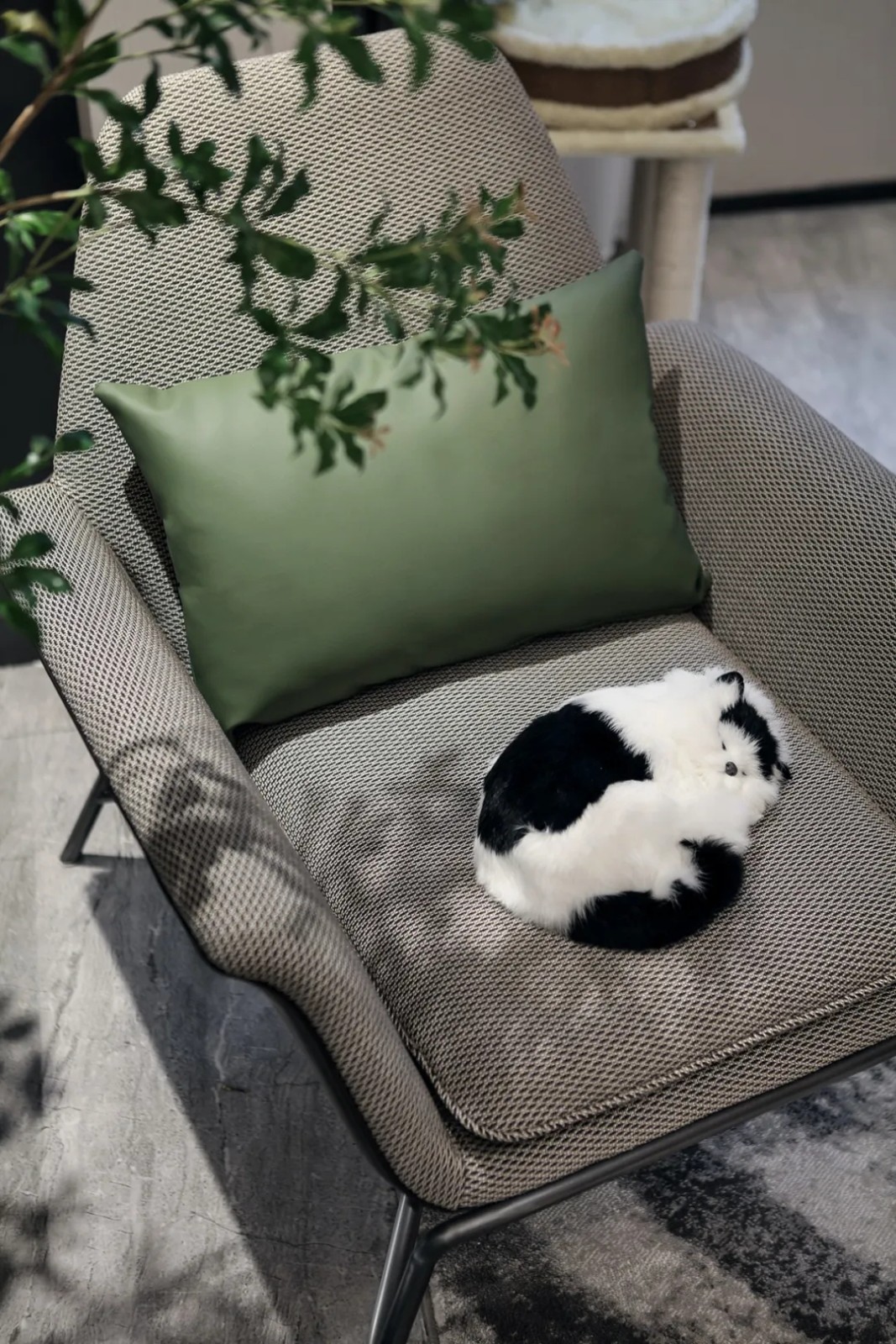 保定金茂悦住宅示范区-43