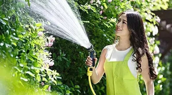 春日园林养护攻略 | 四月份苗木养护指南-12