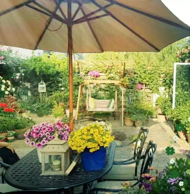 都市中的宁静院子 | 享受生活的诗意空间-35