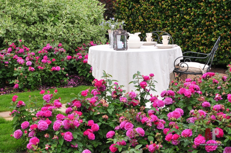 带草坪的公园景观设计（浪漫公园带草坪）丨俄罗斯莫斯科丨IL NATURE-18