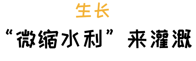 阿飞森林主题乐园 | 种子生长之旅的室内设计亮点-21