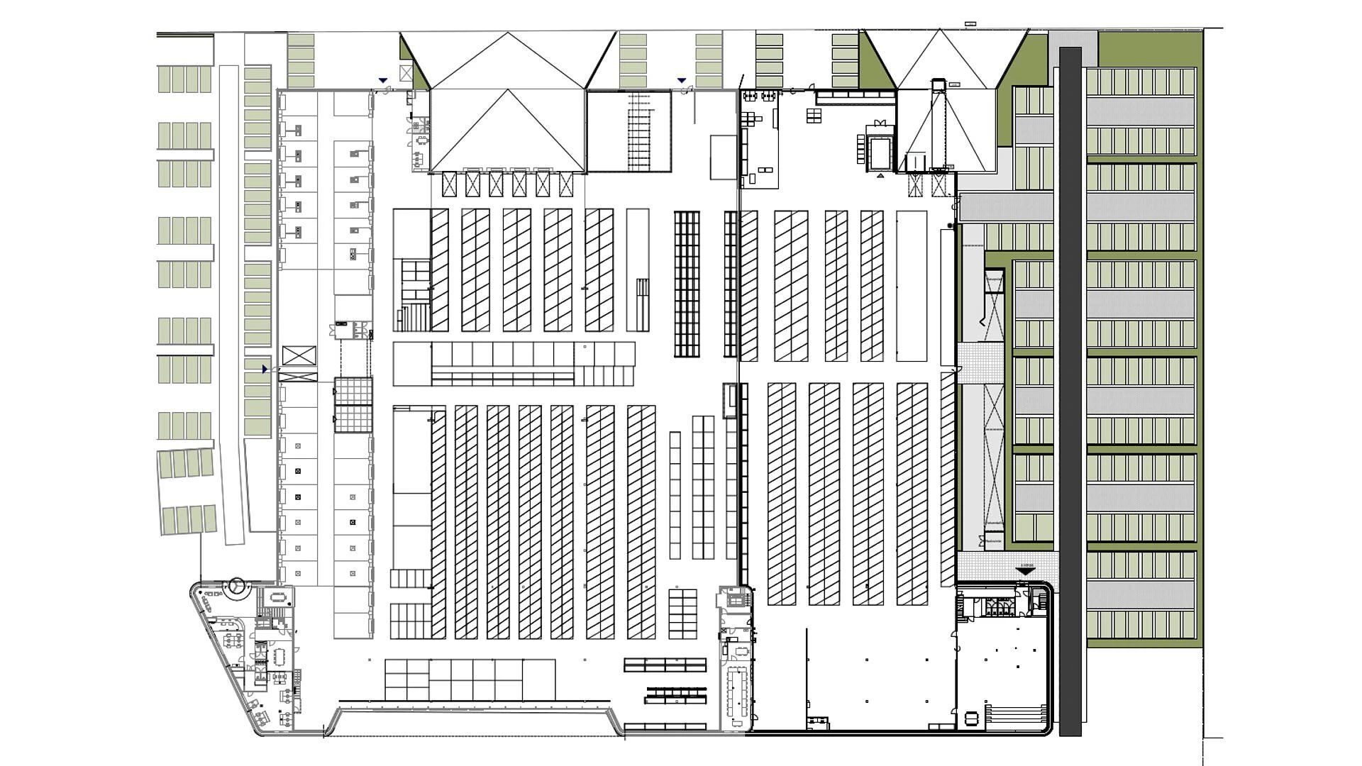 办公室和工业大厅 TMHNL丨荷兰埃德-19
