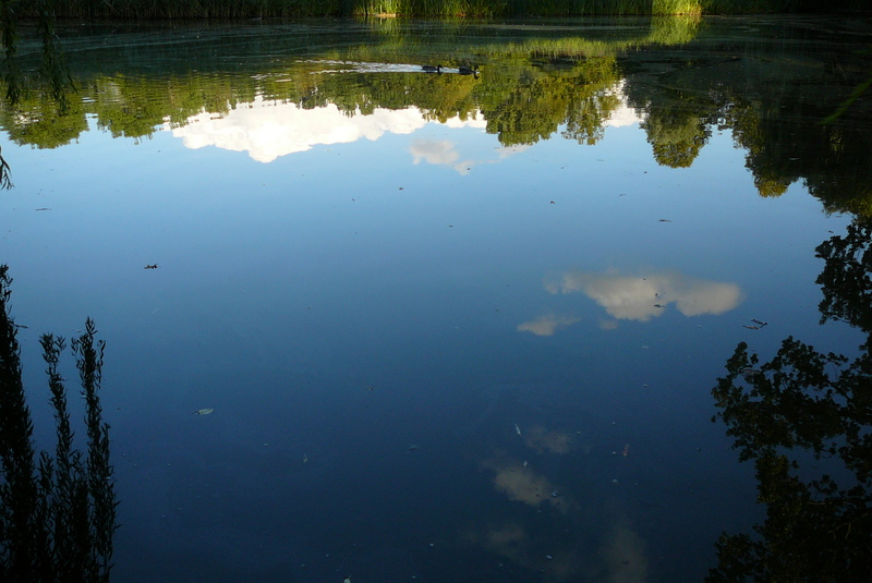 阿姆斯特丹冯德尔公园主入口改造丨荷兰阿姆斯特丹-24