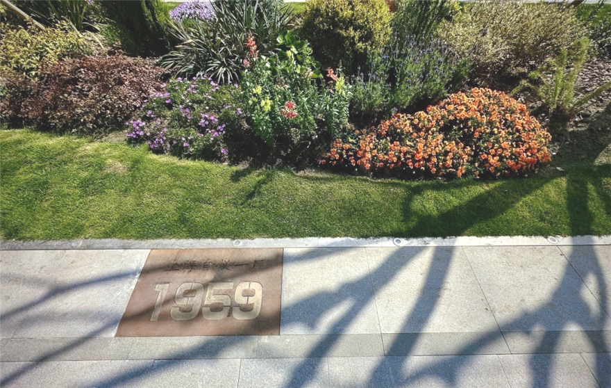 境作|桂林公园地铁站绿地焕新,“15分钟美好生活圈”推窗见绿-195