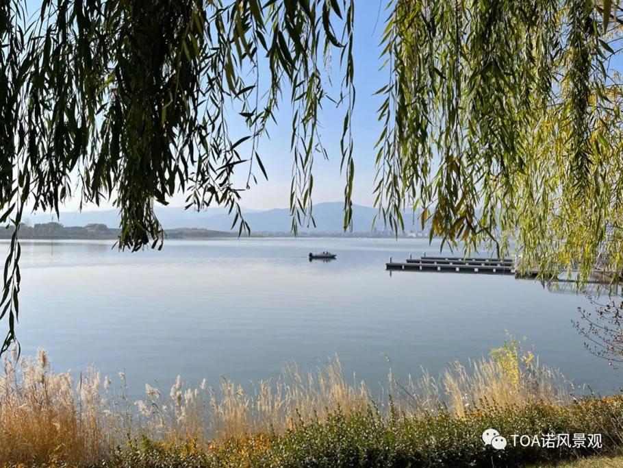 太原万科公园大道丨中国太原丨TOA 诺风景观设计咨询有限公司-8