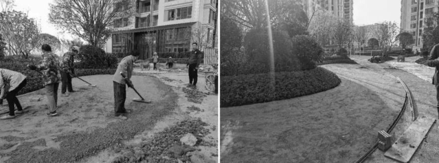 重新组合自然美 · 植物设计浅谈丨中国南京-68