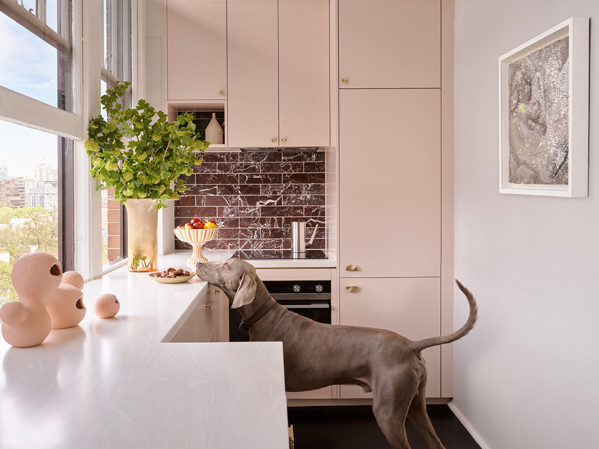 澳大利亚设计师 Lynne Bradley 的色彩斑斓内饰-1