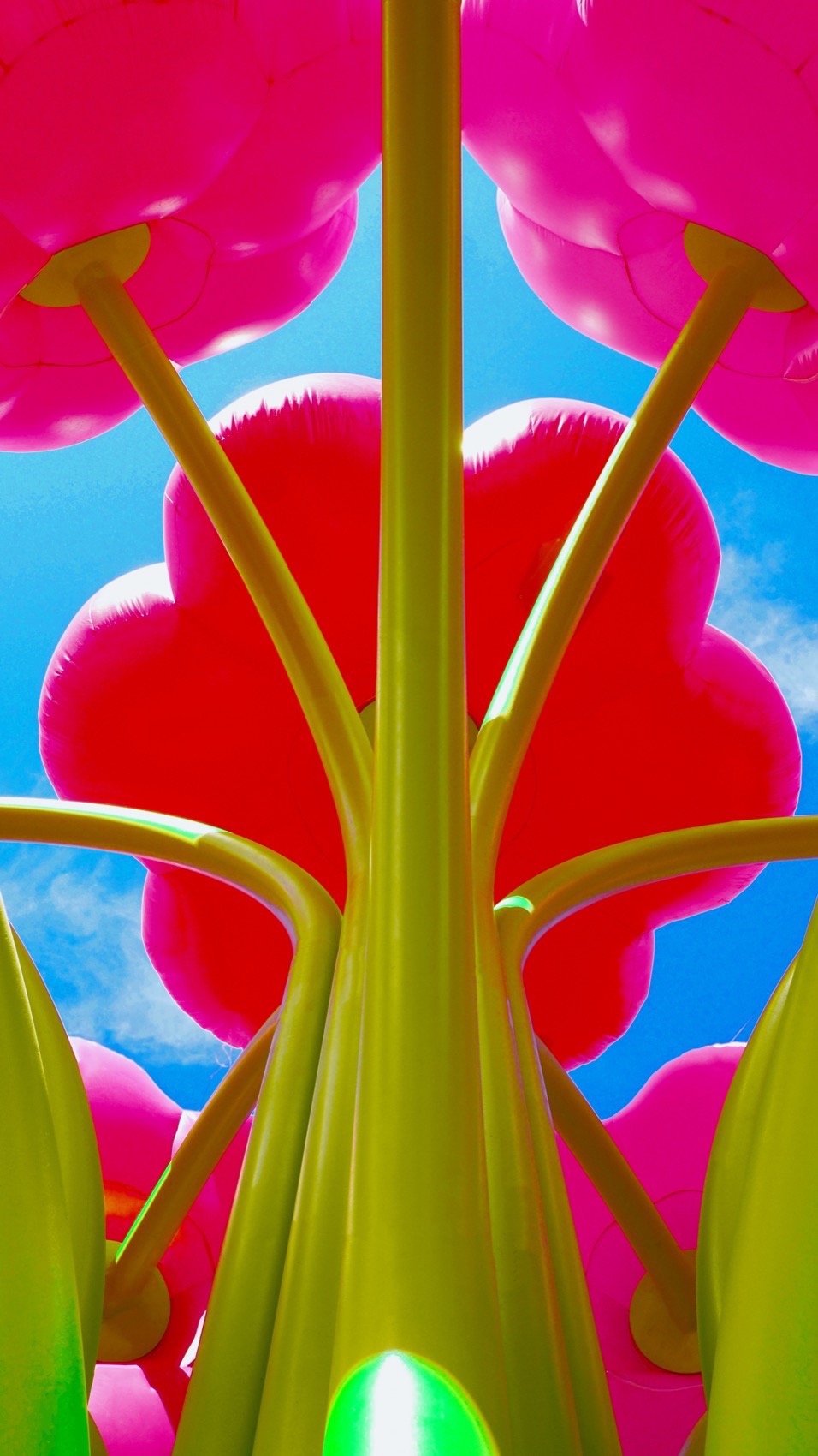 2025年科切拉艺术计划丨Public Art Company（PAC）等多位艺术家-47