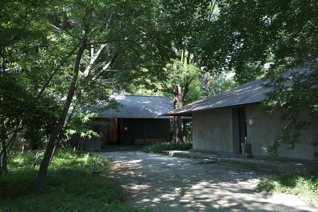 红松林中的然居丨奥野公章建筑设计事务所-57