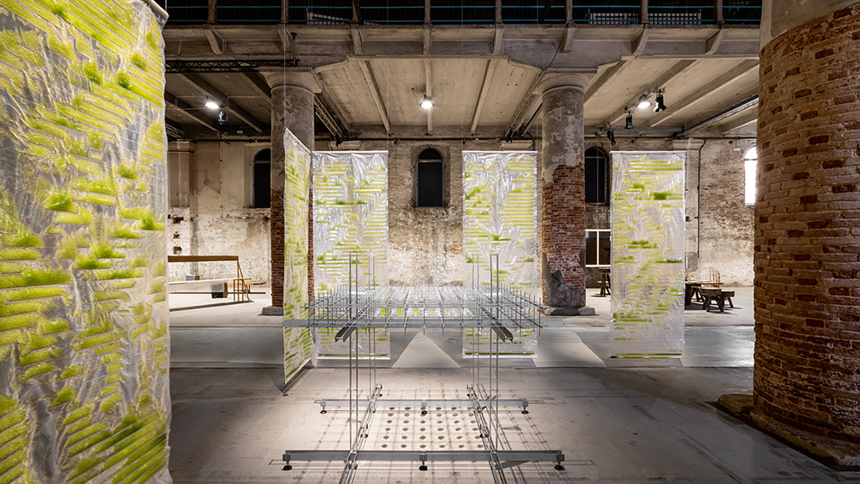 威尼斯建筑双年展上的藻类装置设计-0