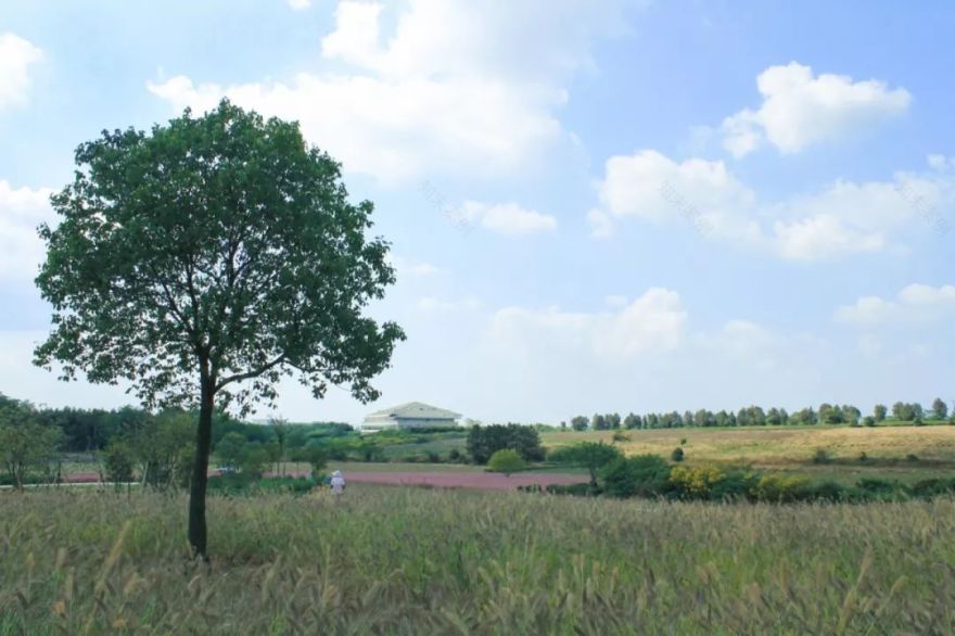 穿过喧嚣 走进时光·来高淳东坝看美丽乡村-3